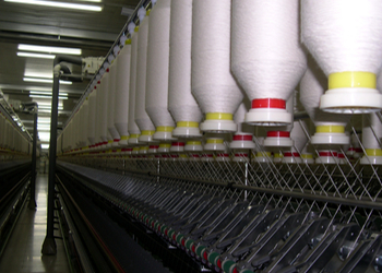 ETKİNLİK RESİMLERİ