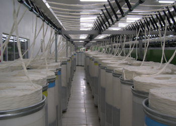 ETKİNLİK RESİMLERİ